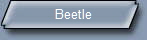 Beetle